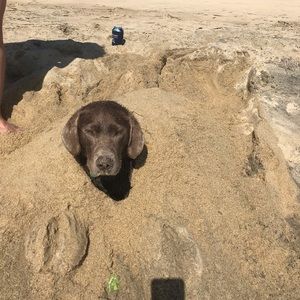 Meet your Posher, Mitchell